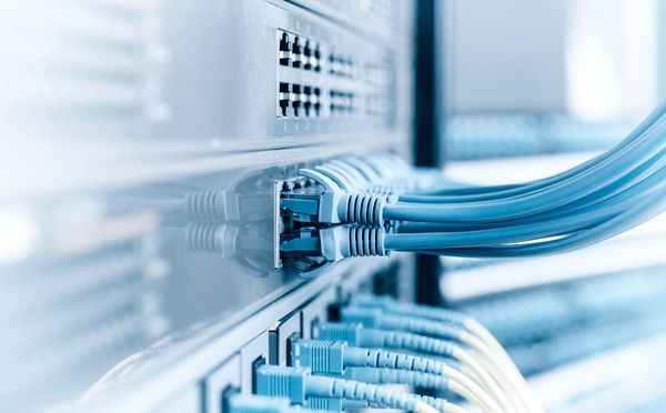Nahaufnahme von Netzwerkanschlüssen mit blauen und gelben Kabeln, die in einen Netzwerk-Switch eingesteckt sind. Die Kabel sind ordentlich angeordnet.